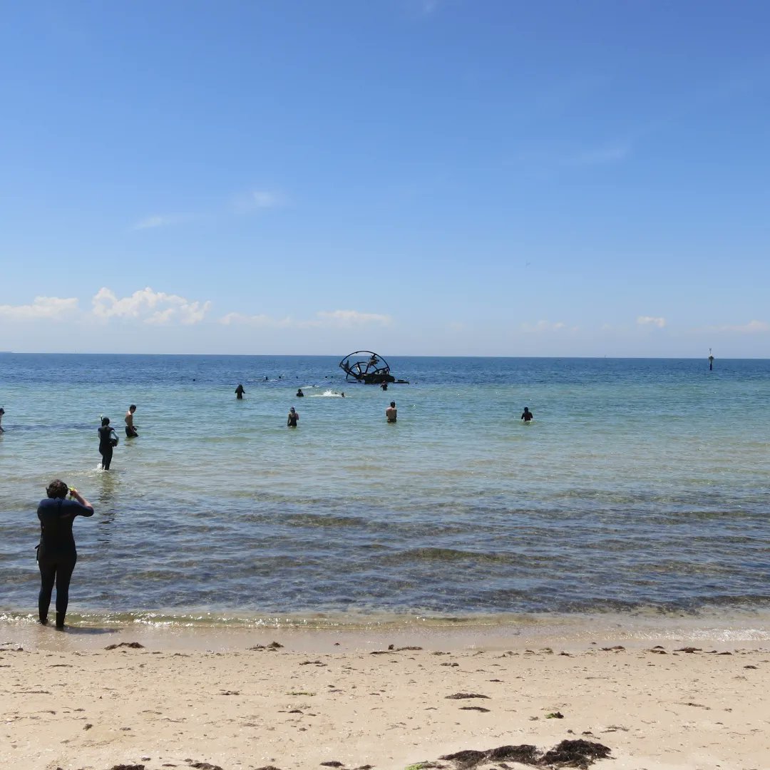 rebeccabhull's tweet photo. Snorkelling for #ZOOL30008 #ExperimentalMarineBiology, a week-long #marinebiology #undergradresearch subject.
@BioSci_UniMelb @scimelb @unimelb
#wadawurrungcountry #bellarinepeninsula #ozonewreck #indentedhead #stleonards #snorkel https://t.co/XsKaFB9aSx