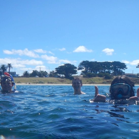 Snorkelling for #ZOOL30008 #ExperimentalMarineBiology, a week-long #marinebiology #undergradresearch subject.

@BioSci_UniMelb @scimelb @unimelb

#wadawurrungcountry #bellarinepeninsula #ozonewreck #indentedhead #stleonards #snorkel