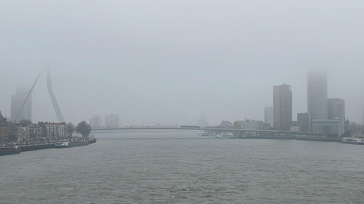 Ons uitzicht:

...van de Zwaan in de mist! 

Diederik is in #Rotterdam voor het onderhoud en beheer van het #wandelroutenetwerk #IJsselmonde. Na de jaarlijkse schouwing is gebleken dat er veel hersteld moet worden.

#erasmusbrug #bewegwijzering #wandelnetwerk 

<a href="/Staatsbosbeheer/">Staatsbosbeheer</a>