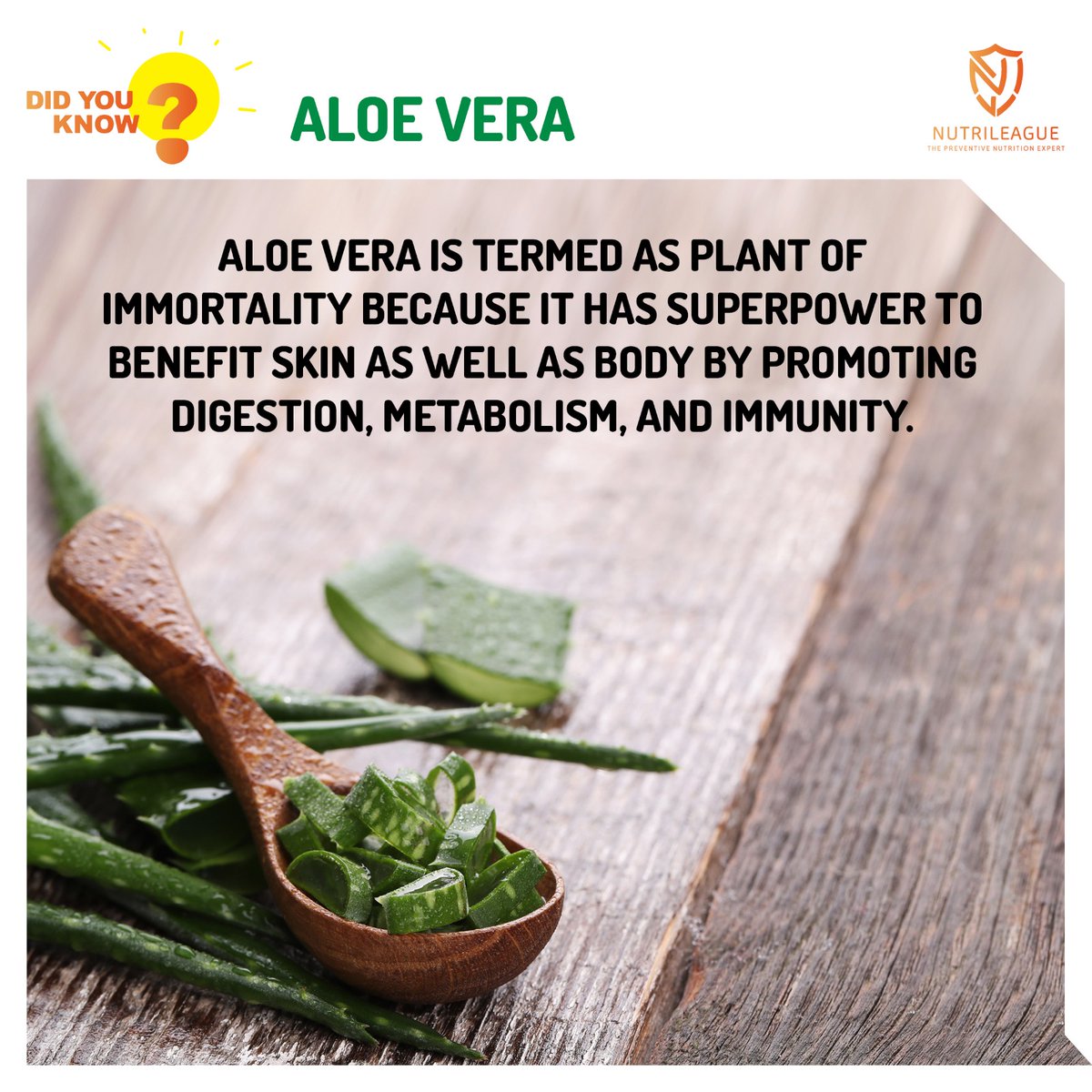 DID YOU KNOW?

Aloe Vera is termed a plant of immortality because it has superpower to benefit skin as well as body by promoting digestion, metabolism, and immunity.
.
.
.
#aloevera #aloeveragel #healthyhair #hairhealth #skinhealth #healthyskin #bloodsugarcontrol #nutrileague
