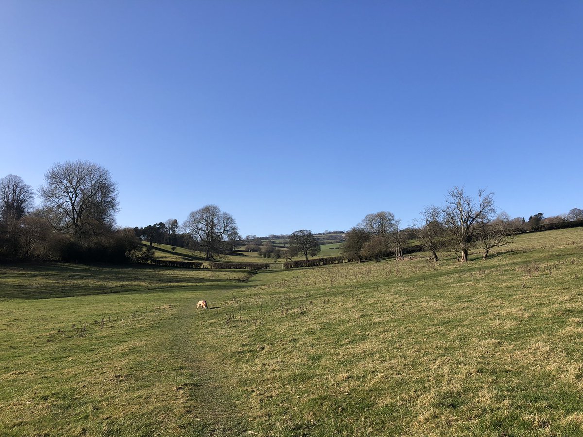 KristyB70sbaby's tweet photo. The rolling fields of Bishops Castle, Shropshire. Bring on the spring 😊 #Shropshire #shropshirelife https://t.co/6gJdslLb0p