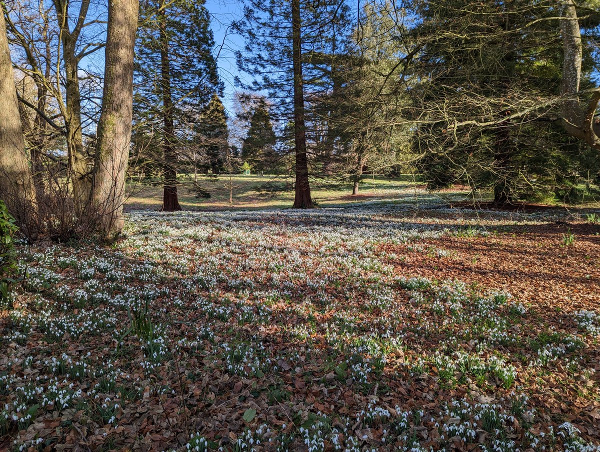 #FairyTaleTuesday on Twitter: