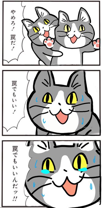ドキがムネムネ! https://t.co/Ne1ZemsOld 