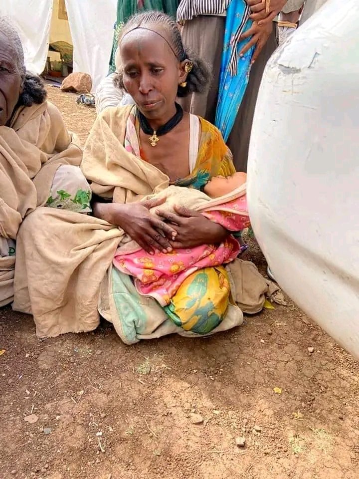 TigirayiGeni's tweet photo. Day 840:#TigrayGenocide
The #siege of #Tigray people is still not lifted.they r extremely under harsh & suffer condition. #life_saving support is much in need.
#Tigray peopl highly demand:
- help
- support &
- justice.
@hrw @UN_HRC @amnesty @coe
@US_AU @SecBlinken @Geni https://t.co/VsW7XBhxSs