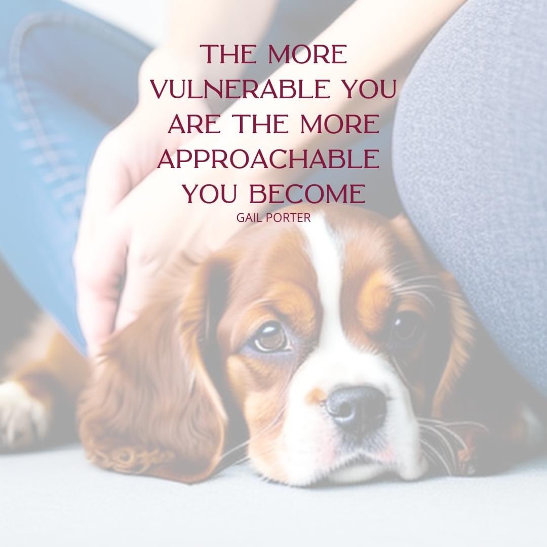 Stacey Macdonald tweet media