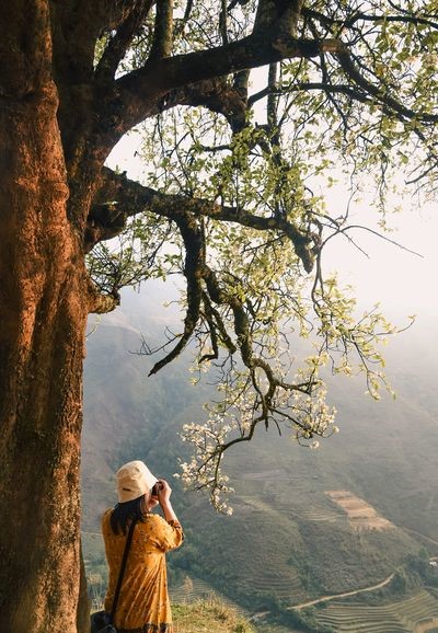 Vietsense_'s tweet photo. Son Tra (Docynia indica) flower is not only a specialty of the Northwest highlands but also a spring beauty that attracts tourists...
#Vietnam #vietnamtravel #spring #flowers https://t.co/Jjiayvmw10