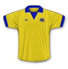 tribalcolours tweet media