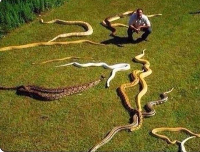 eski arkadaşlarımla toplu olarak çektiğimiz bir fotoğraf: