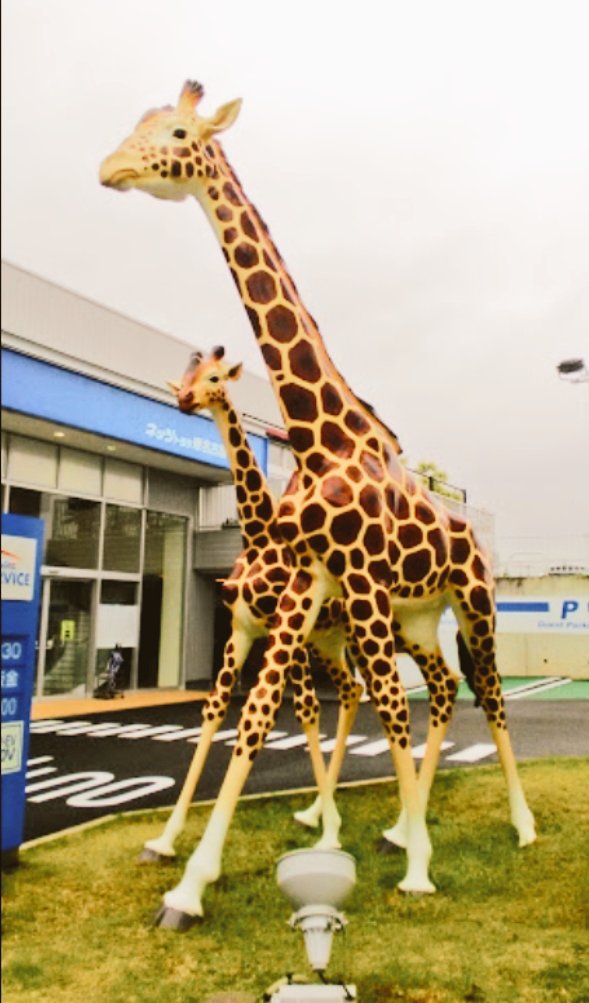 Giraffe 🦒🦒 Nagoya, Aichi, Japan 🇯🇵 #PokemonGO #sculpture