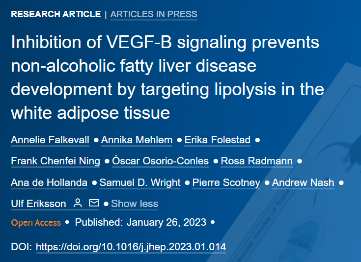 JHepatology's tweet photo. 🆕Article in press❕

Inhibition of #VEGFB signaling prevents #NALFD development by targeting lipolysis in the white adipose tissue

🔓#OpenAccess at👉https://t.co/RndOCuLF0M

#LiverTwitter https://t.co/eL6dadsOsP