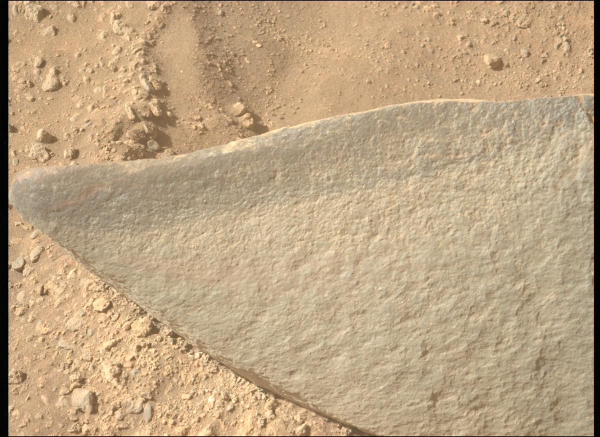MarsMissionImgs's tweet photo. #PerseveranceRover image taken on #Sol700 at 3:39:40.547 PM with #MastcamZ #Mars #NASA #Space https://t.co/VHxHews3oa