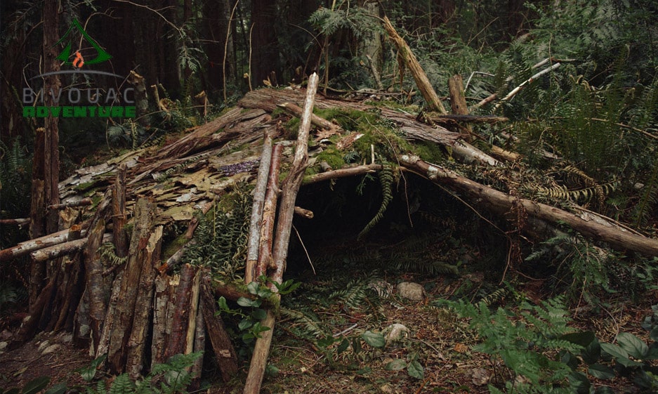 How to Build a Wilderness Survival Shelter: A Step by Step Guide

bivouacadventure.com/how-to-build-a…

#survival #survivaltips #survivalskills #survivalshelter #Bivouac