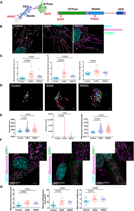 J Cell Science tweet media