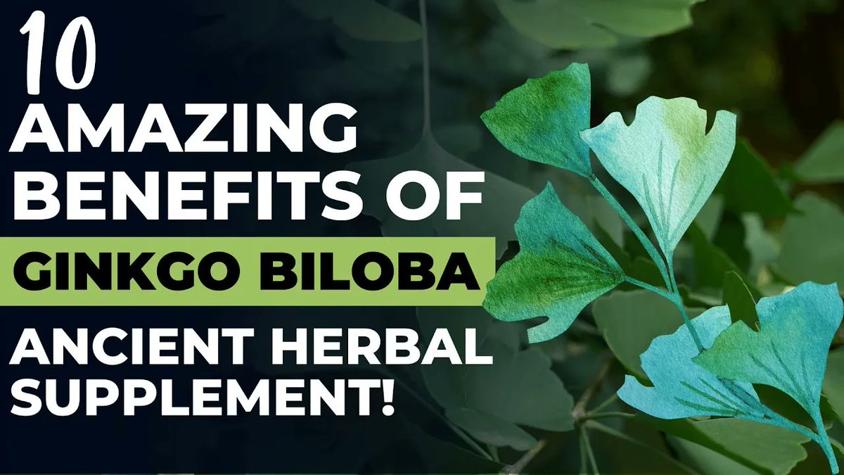 amvitalusa's tweet photo. Unlocking the Secrets of Ginkgo Biloba
To Know more
https://t.co/Tx6yfvBYgo
#turmeric #ginger #turmericbenefits #turmericgummies #health #natural #vegan #BlackPepper #SkincareSecret #TurmericCapsules #TurmericSoap #IBs_Guide #Skincare #Chamomile #health #curcumin #life https://t.co/RiO4WzZerc