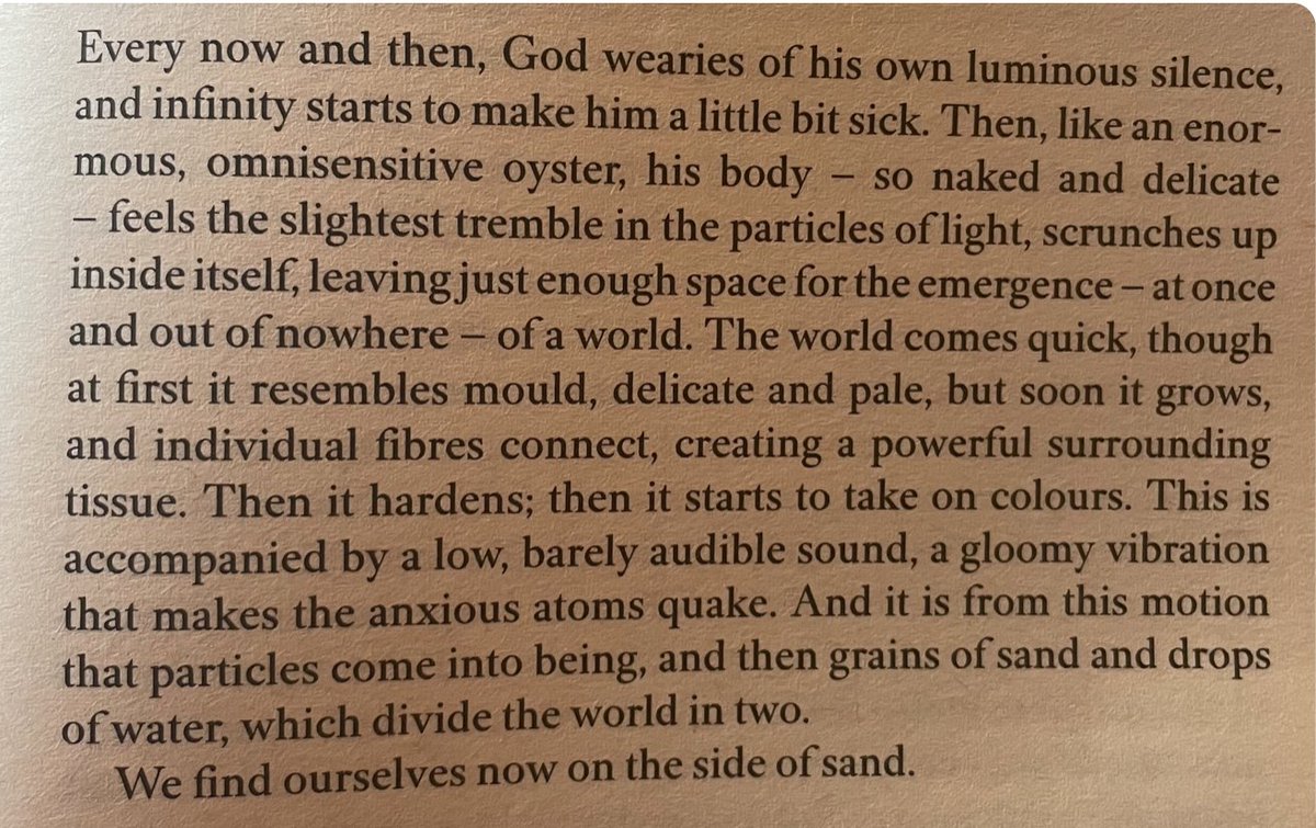 flynnoallott's tweet photo. William Nicholls and Olga Tokarczuk on God, Oysters, and Creation as the Act of Becoming-Dry https://t.co/ClWCAd2O54