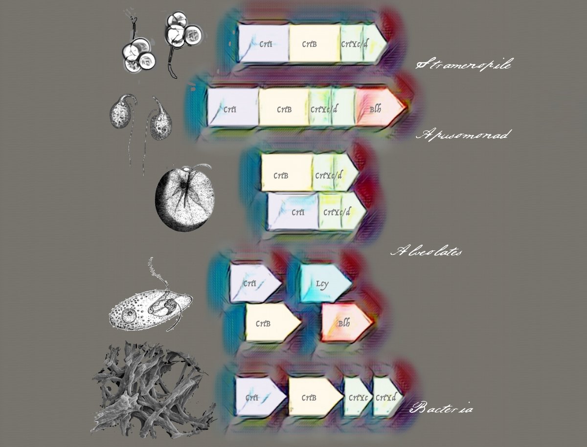 Joshua Rest tweet media