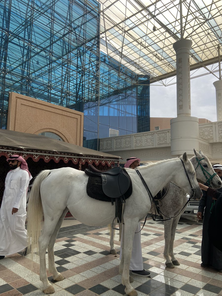 xeilixh's tweet photo. ولنا في الخيل جمال يصعب وصفه🤍 https://t.co/lBUlmIRnMO