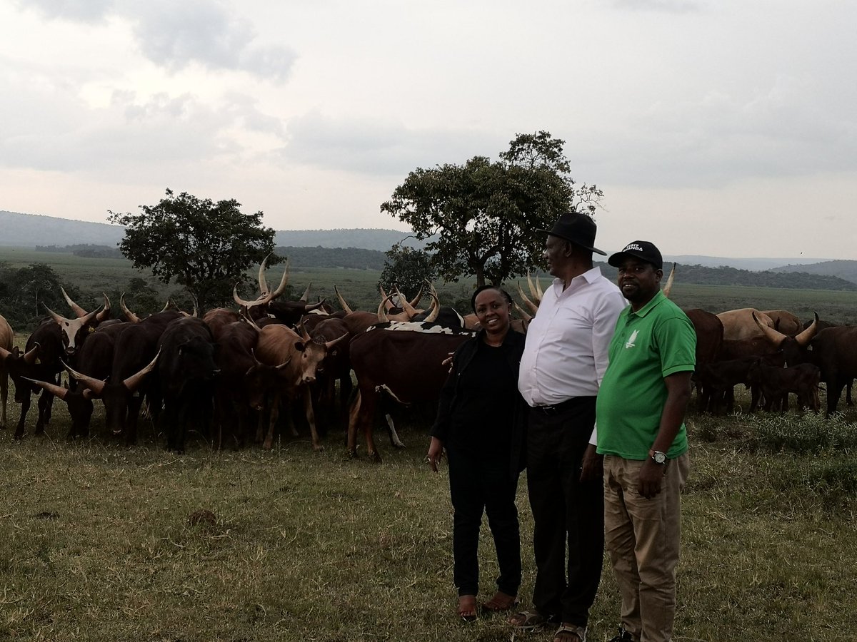 Iwacu zirakamwa with Inyambo tours  @NkubiriAlfred <a href="/visitrwanda_now/">Visit Rwanda</a> <a href="/VisitKirehe/">Visit Kirehe 🇷🇼</a> <a href="/KireheDistrict/">Kirehe District</a>