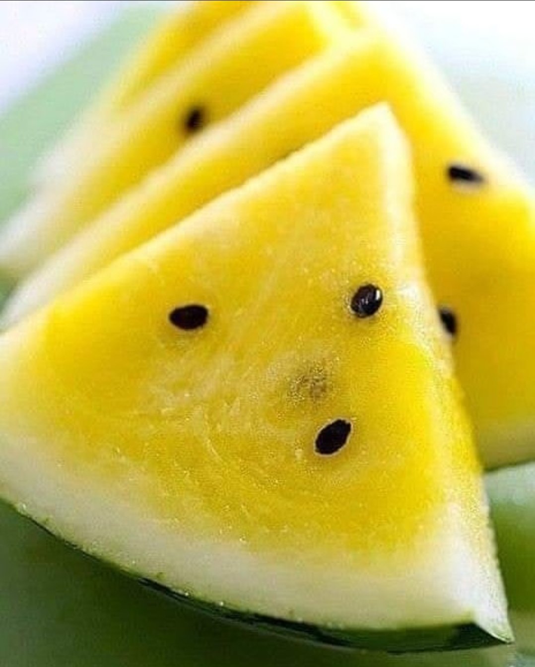 Арбуз Ямато жёлтый
