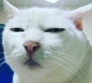 sunny_joni's tweet image. Trying to read address when I'm driving.  Hmmm better turn down the radio so I can see better.  #houseaddress #driving