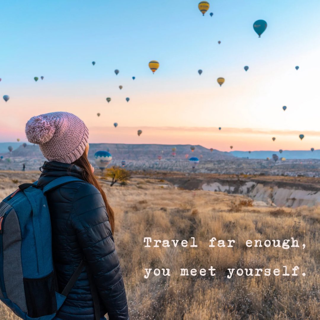 Shayne Traviss tweet media