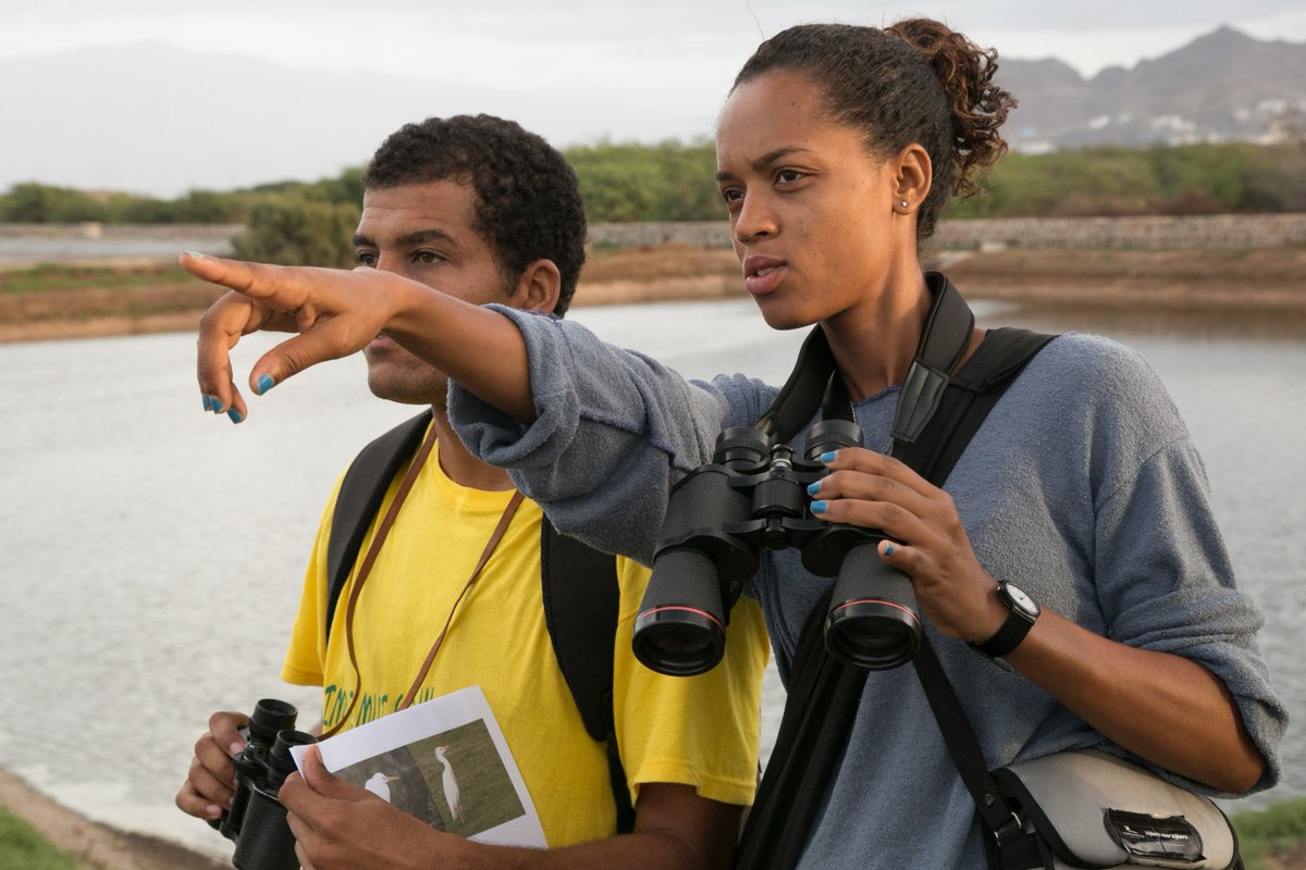 ZEISSBirding's tweet image. As part of our current cashback campaign, we are collecting binoculars from all brands in order to donate them to Vogelbescherming. Using their many years of experience and BirdLife’s global network, we can give refurbished equipment to as many people as possible.