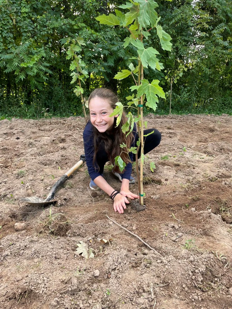 NPCA_Ontario's tweet photo. Community groups & organizations in our watershed have joined as the Niagara Peninsula Tree Planting Partnership. Our goal?
๐ณRestore natural habitats & biodiversity
๐ณIncrease tree canopy
๐ณCool urban centres
๐ณSupport green jobs
Join us! https://t.co/ER0Zeeb3oH
#TreesForAll https://t.co/C3FyhInzlG