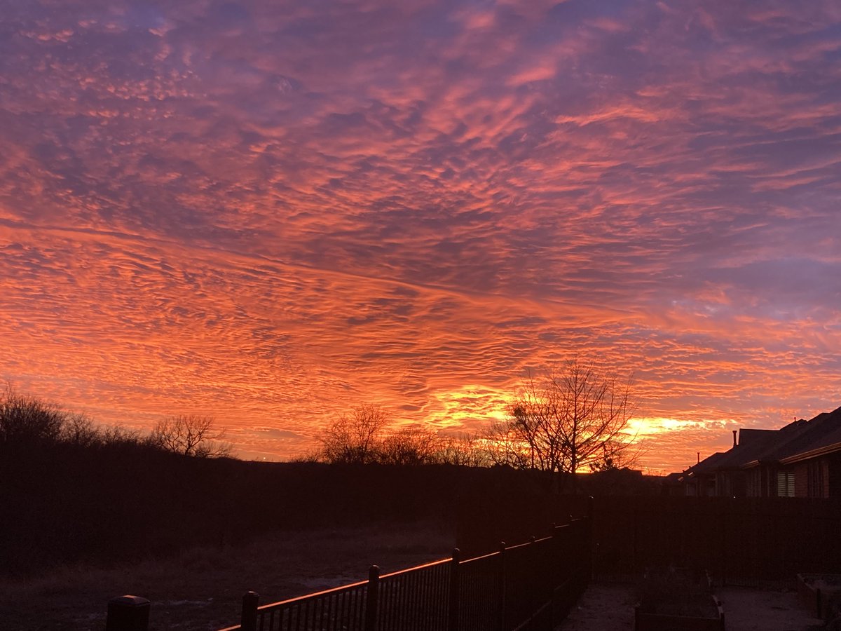 Melanie Gonzales tweet media