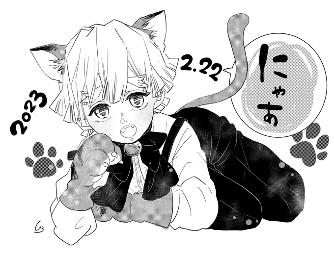 🐈🐈🐈⚡️rkgk 