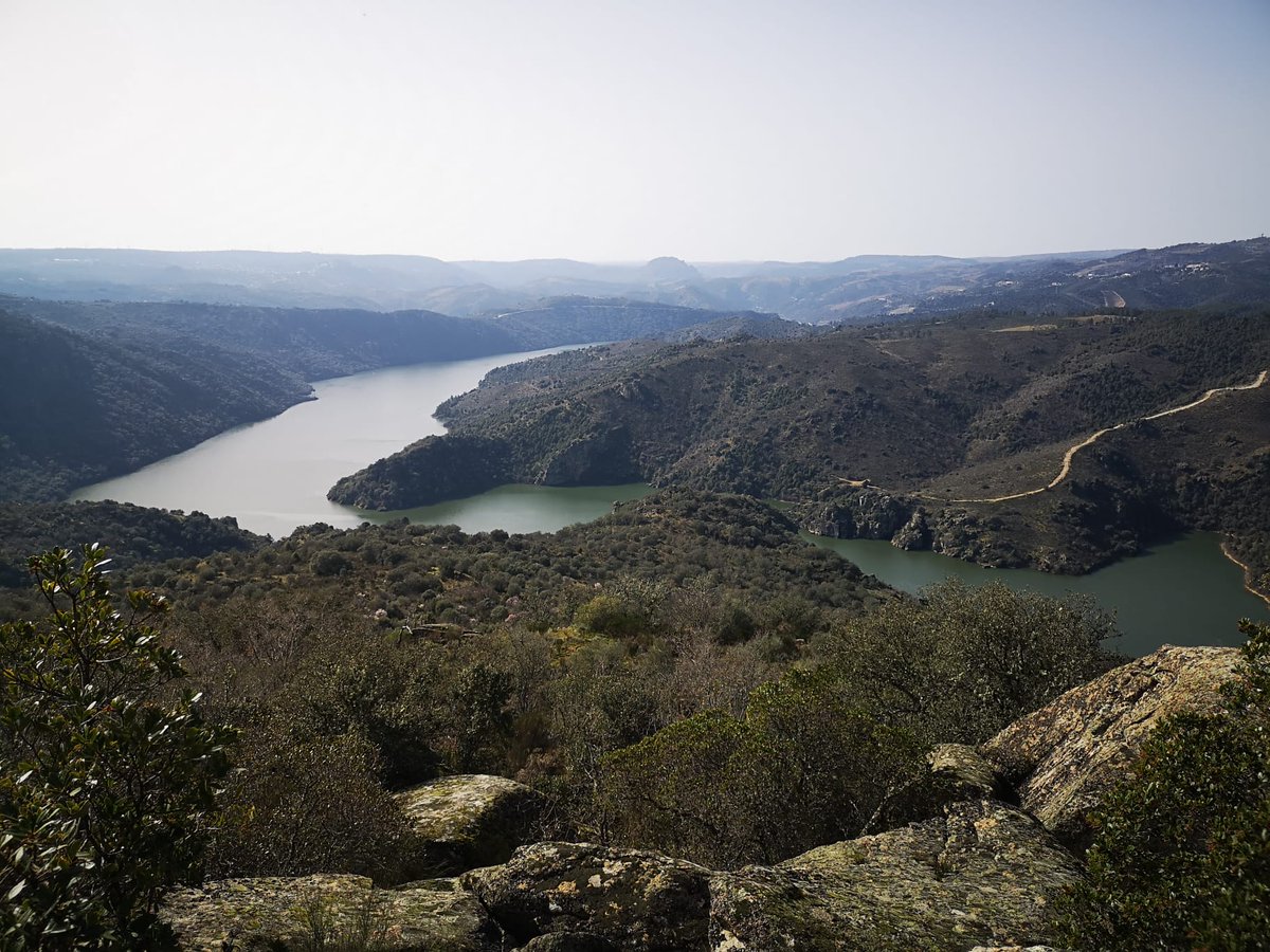 ElisaZamora's tweet image. No sé por dónde empezar a contaros mi maravilloso viaje a #ArribesDuero durante este Carnaval. Mejor dicho, sí. Comencemos por la increíble naturaleza de #Sayago y #TrasOsMontes. 

Siempre el #Duero a nuestro lado. Tres miradores: #Fermoselle, #Pinilla y #SanJoao (Miranda).