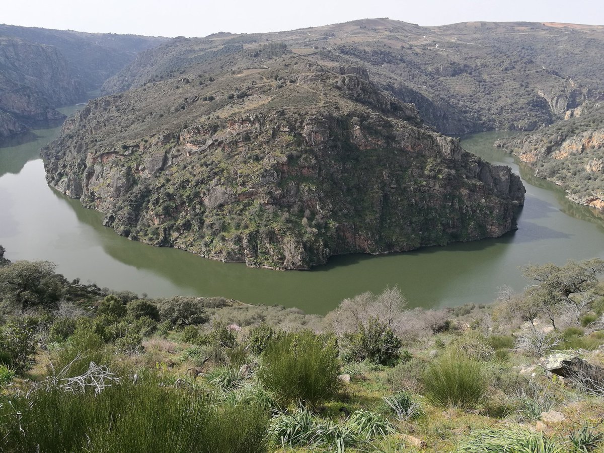 ElisaZamora's tweet image. No sé por dónde empezar a contaros mi maravilloso viaje a #ArribesDuero durante este Carnaval. Mejor dicho, sí. Comencemos por la increíble naturaleza de #Sayago y #TrasOsMontes. 

Siempre el #Duero a nuestro lado. Tres miradores: #Fermoselle, #Pinilla y #SanJoao (Miranda).