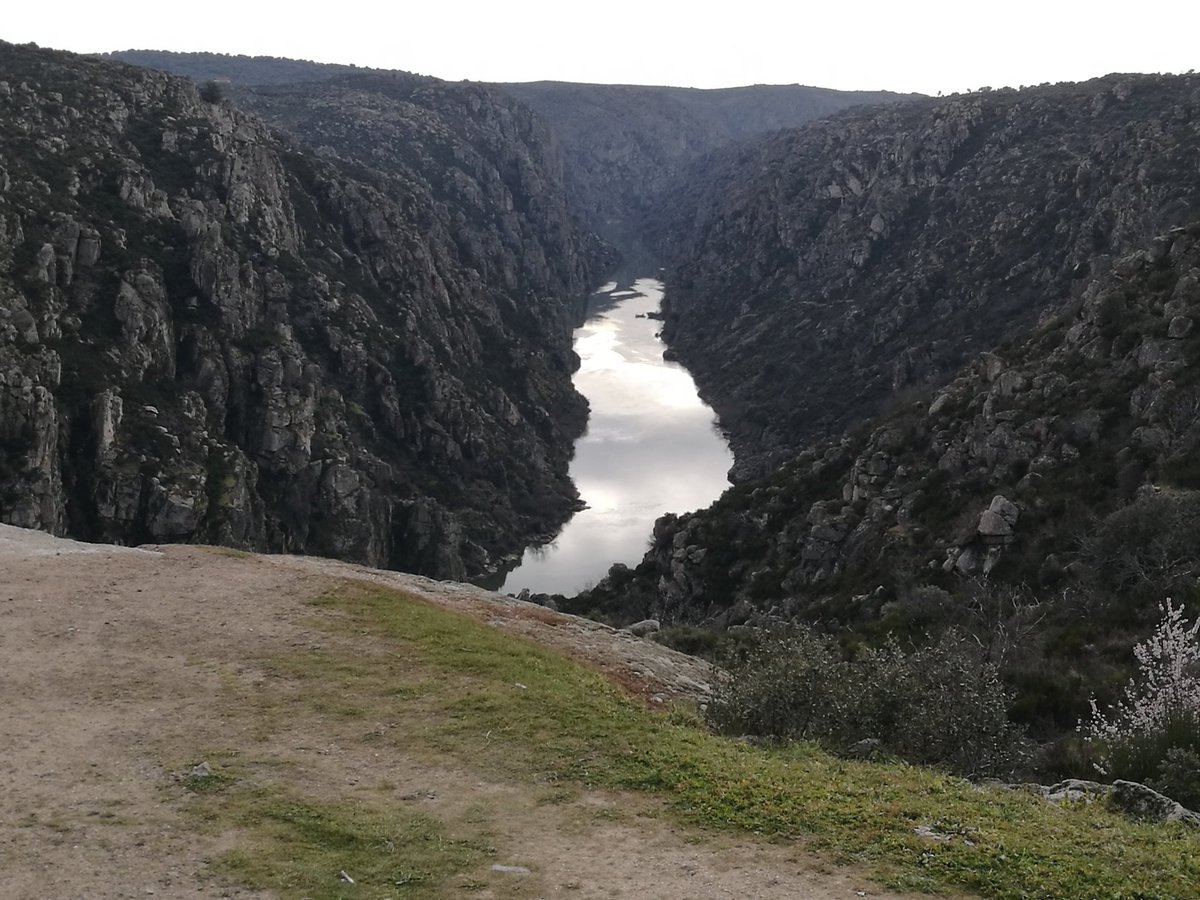 ElisaZamora's tweet image. No sé por dónde empezar a contaros mi maravilloso viaje a #ArribesDuero durante este Carnaval. Mejor dicho, sí. Comencemos por la increíble naturaleza de #Sayago y #TrasOsMontes. 

Siempre el #Duero a nuestro lado. Tres miradores: #Fermoselle, #Pinilla y #SanJoao (Miranda).