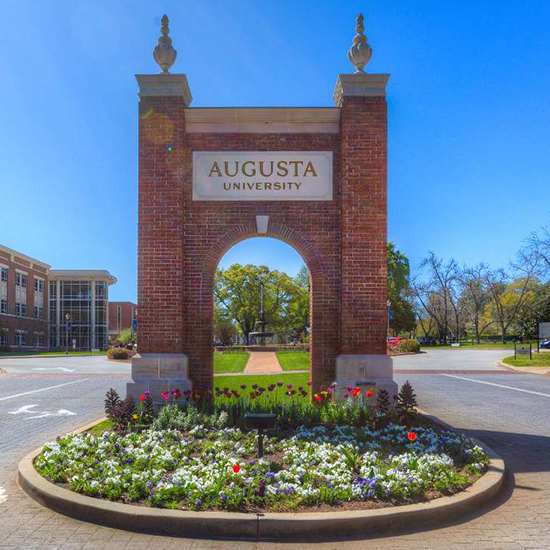 iDesignEDU's tweet photo. We are elated at @iDesignEDU to announce our partnership with @AUG_University as they announce their next phase of growth for their ambitious digital learning initiative, #AugustaUniversityOnline.  

https://t.co/G8zasHRFs5

#highered #instructionaldesign #studentsuccess #innovation