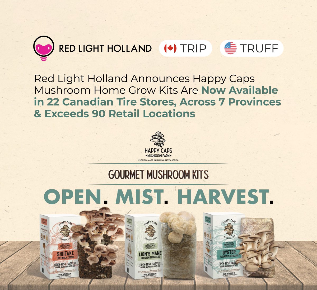 AGORACOM's tweet image. NEWS..@redlightholland $TRUFF Announces Happy Caps #Mushroom Home Grow Kits Available in 22 #CanadianTire Stores 

* Across 7 Provinces &amp;amp; 90+ Retail Locations

$TRIP: Building A World Class #Mushroom Enterprise

$MMED $NUMI

@CanadianTire @LoblawsON 

agoracom.com/ir/RedLightHol…