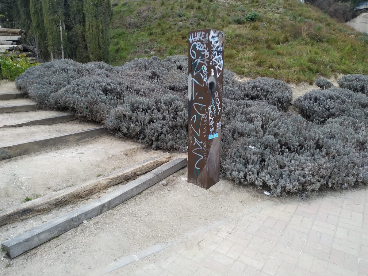 almudenanegro's tweet photo. Pues venga, que hay trabajo. #TorrelodonesEntreTodos https://t.co/H78DhCcAKB