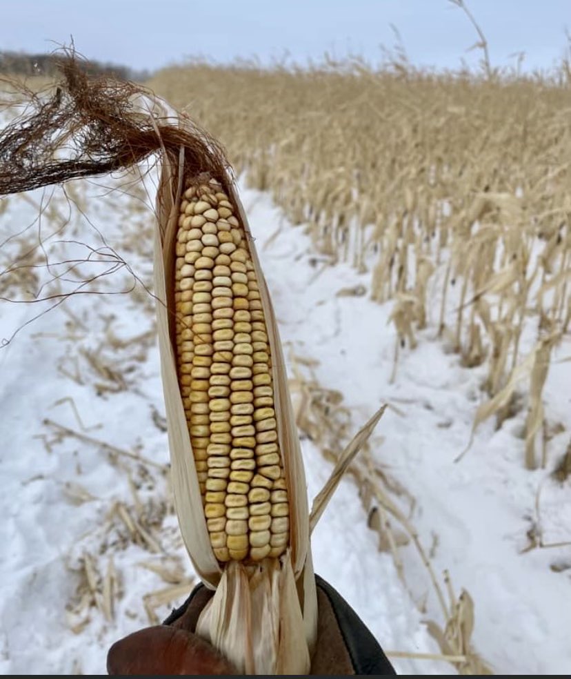 Gordon Moellenbeck 🧢 tweet media