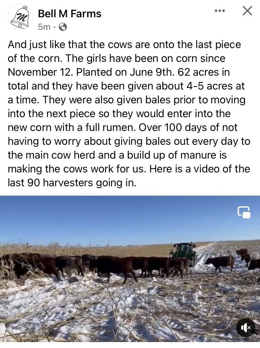 Gordon Moellenbeck 🧢 tweet media