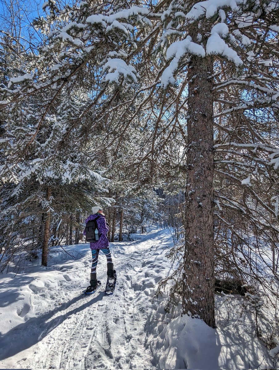 IBBtravel's tweet image. I'm blown away by how much outdoor adventure can be found so close to Wasagaming in @RidingNP! Fat biking, snowshoeing, skating &amp;amp; even kick sledding! Thrilled I was able to cross the latter off my bucket list! ❄️ #ExploreMB #ClearLakeCountry