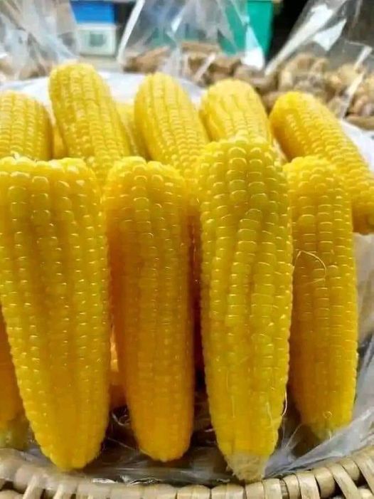 KenEhi_'s tweet photo. TINUBU IN LAGOS.
CAMPAIGN GRAND FINALY.
HOLD YOUR BREATHE.
Check this out; can you resist it?
Fresh Agbado! https://t.co/CyeuvXofjr