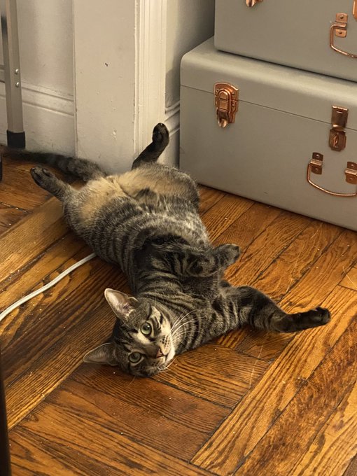 &ldquo;Paint me like one of your French cats&rdquo; https://t.co/9RKHUopymO<a href="/tag/slay"class="tags"><span>#slay</span></a>