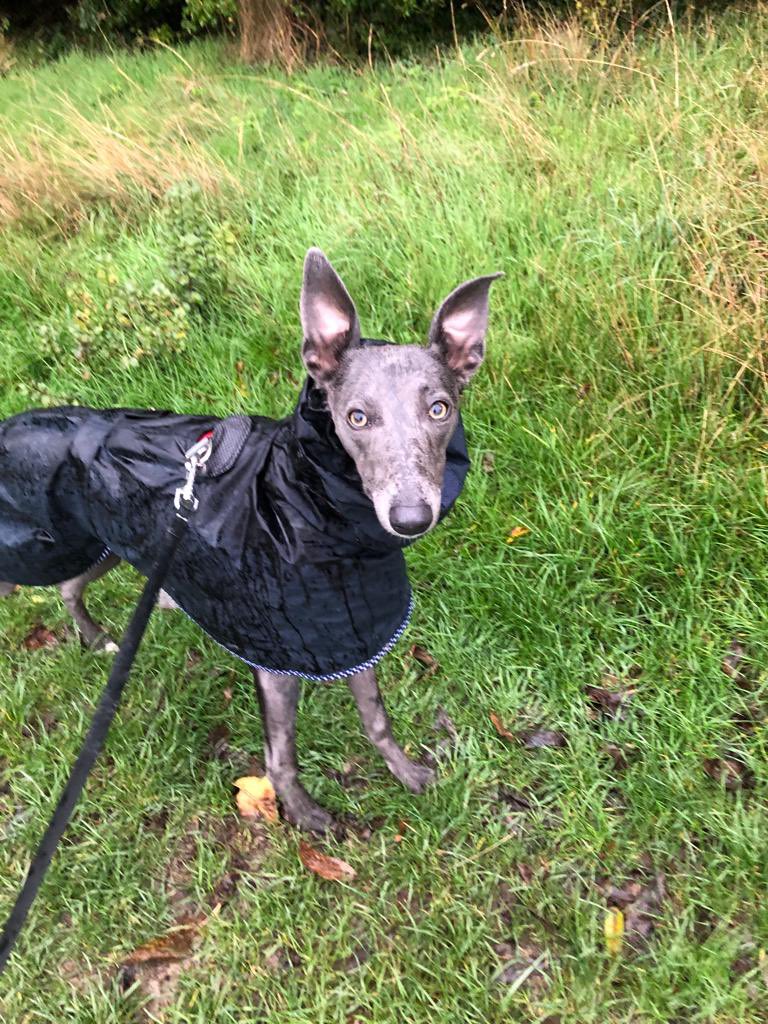 Aidan Van de Weyer 🔶 tweet media