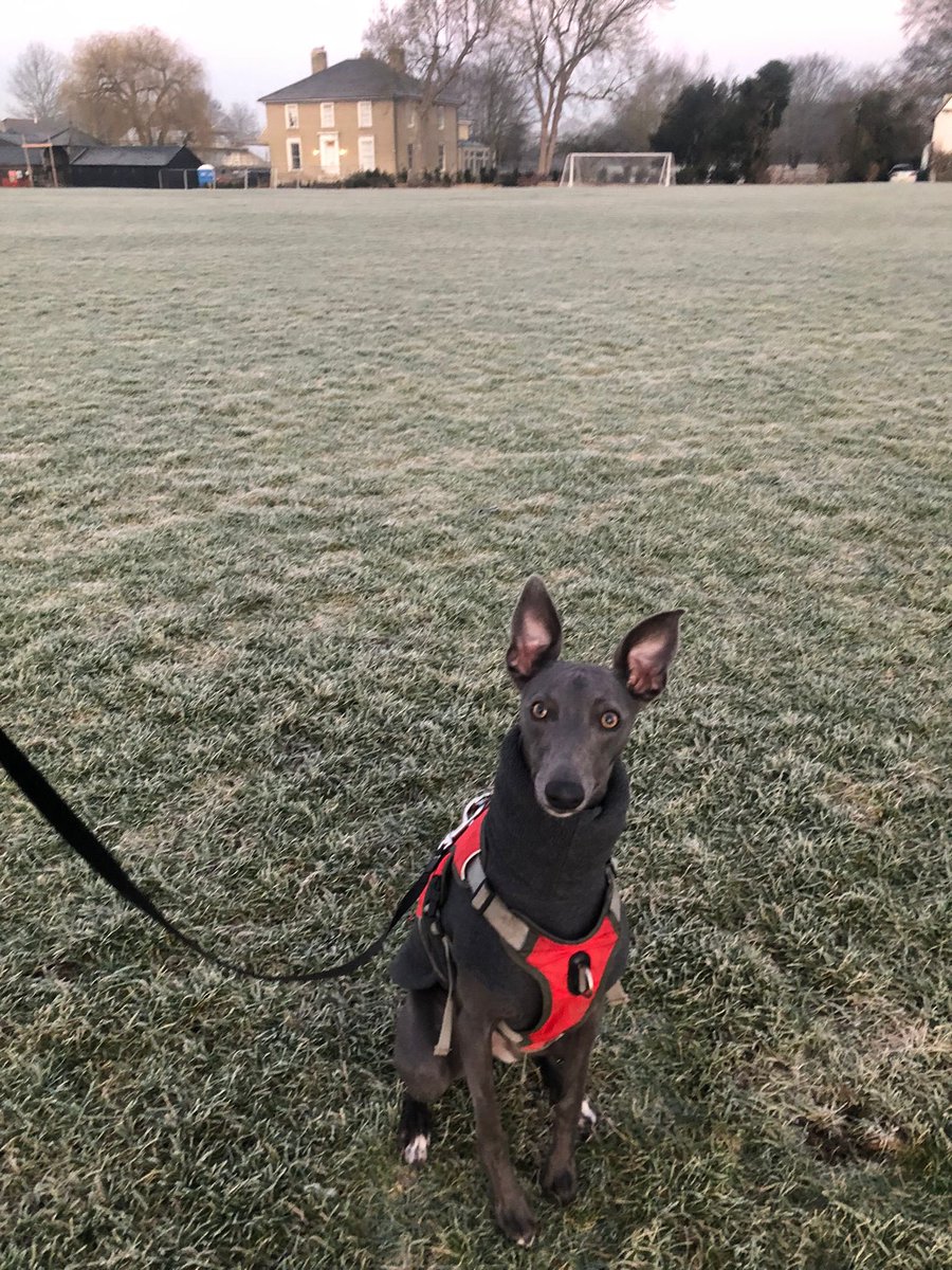 Aidan Van de Weyer 🔶 tweet media