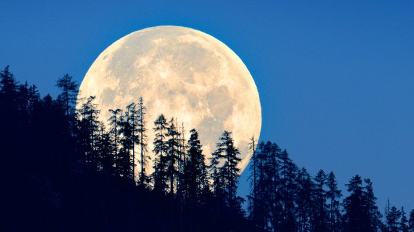 cryptogems555's tweet photo. The moon is waiting for us… 🚀 https://t.co/3hVk7zNfCM