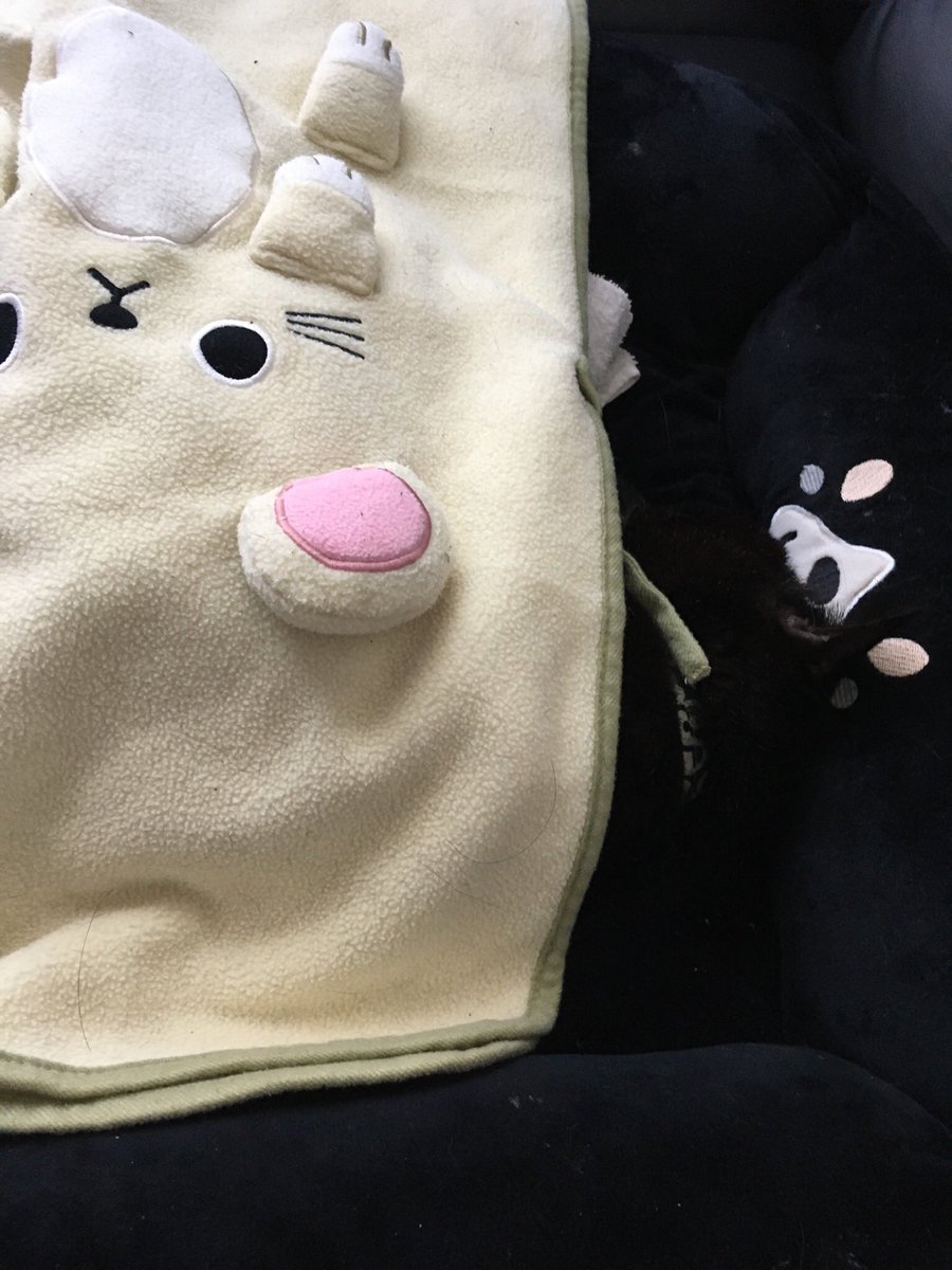 u_sa_ko's tweet image. #2022年2月22日
#猫の日