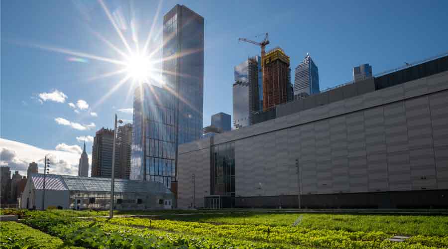 Facilities_NFMT's tweet image. Javits Center’s $1.5 billion expansion features a farm and orchard that raise green roof to new heights. #greenroofs buff.ly/3JYgJRP