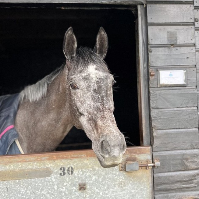 Scott 𓅪 tweet media