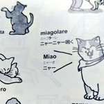 使ってみたい!イタリア語でニャーニャー鳴くは「ミャゴラーレ」!