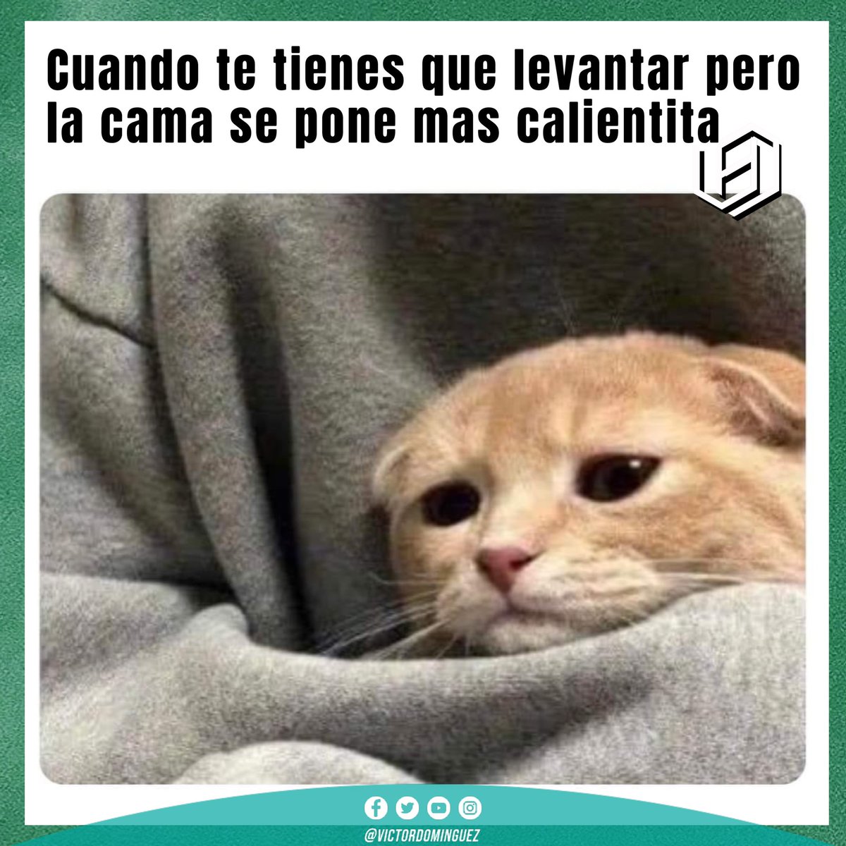 Soy Hanson tweet media