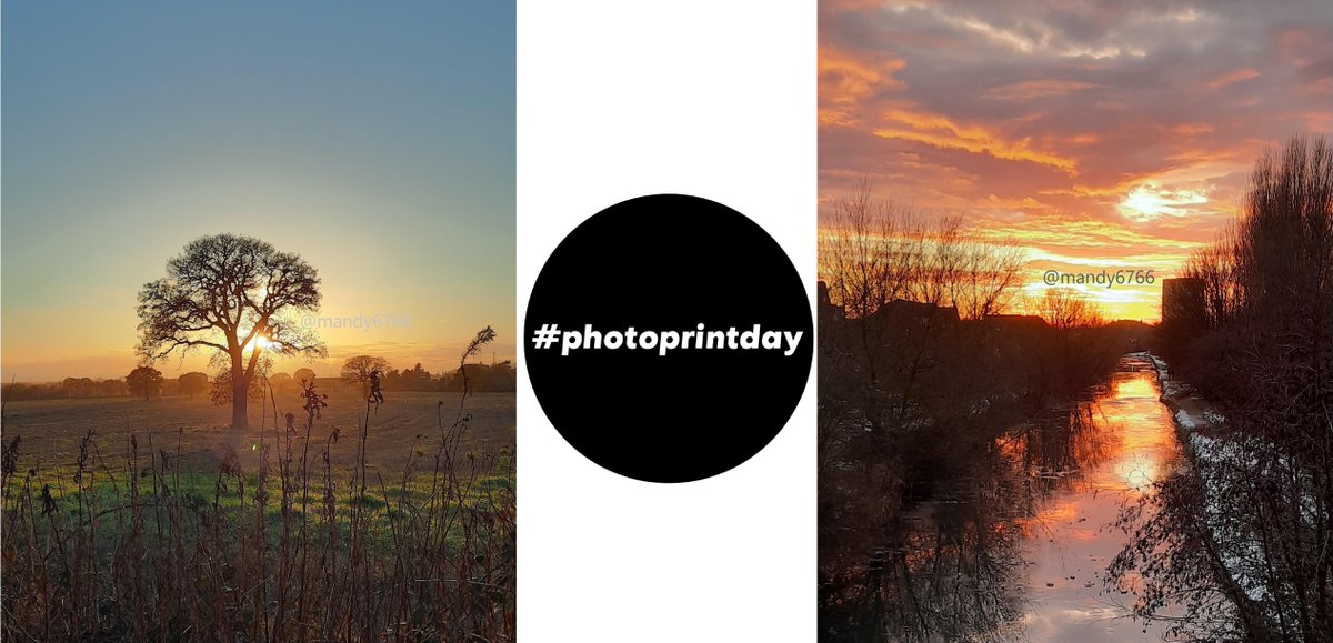 Mandy W 💙 💜 tweet media