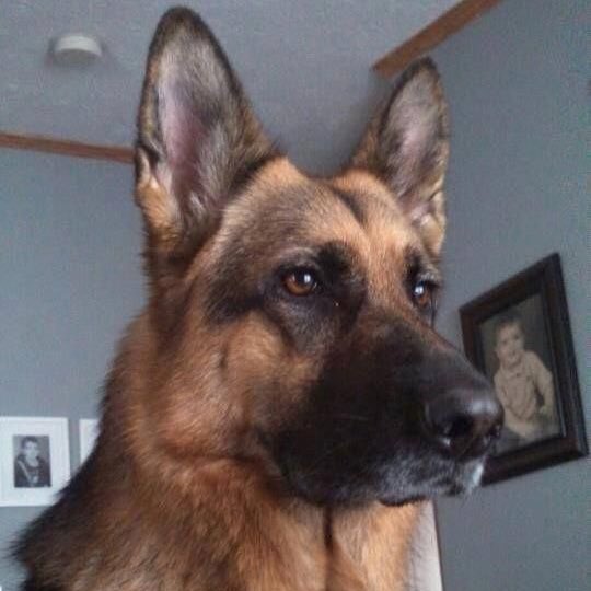 ยังจะถามอีก